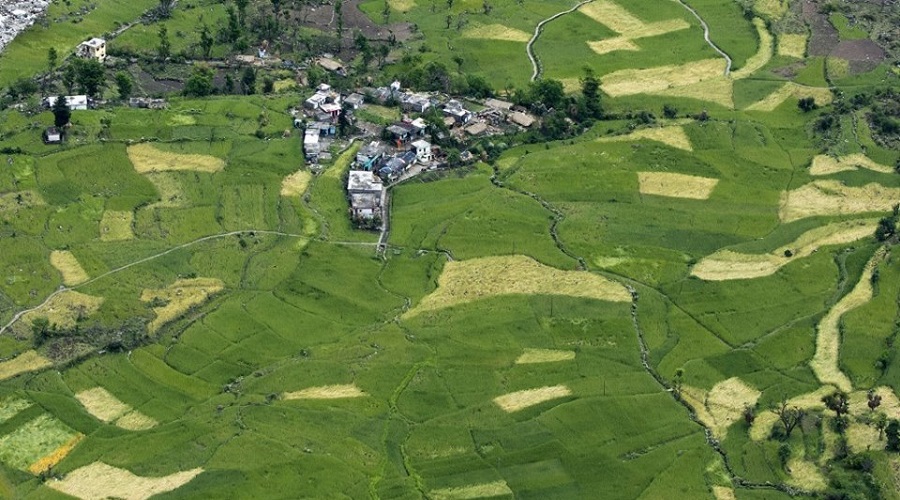 Village Mandal, Uttarakhand