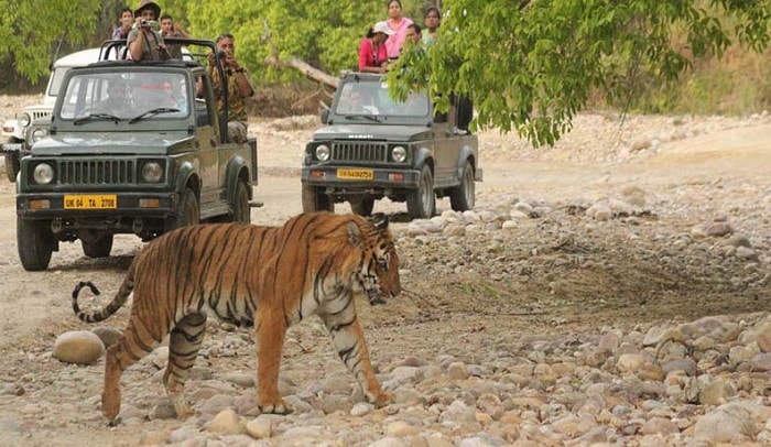 Bandhavgarh National Park