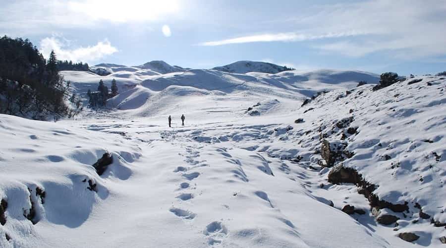 Dayara Bugyal Trek