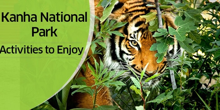 Kanha National Park