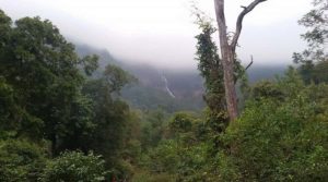 10 Best Places to Visit in Odisha - Sightseeing Tourist