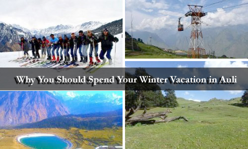 Why You Should Spend Your Winter Vacation in Auli