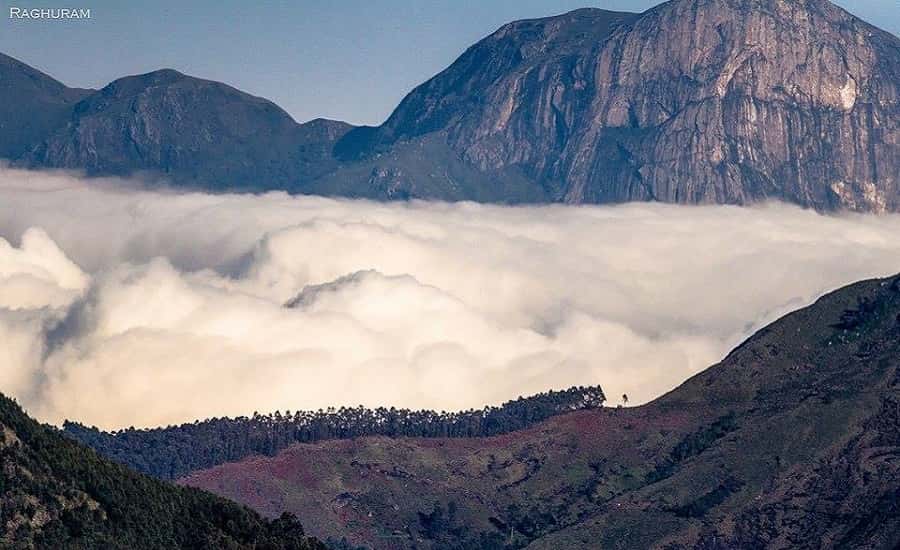 Anamudi Peak