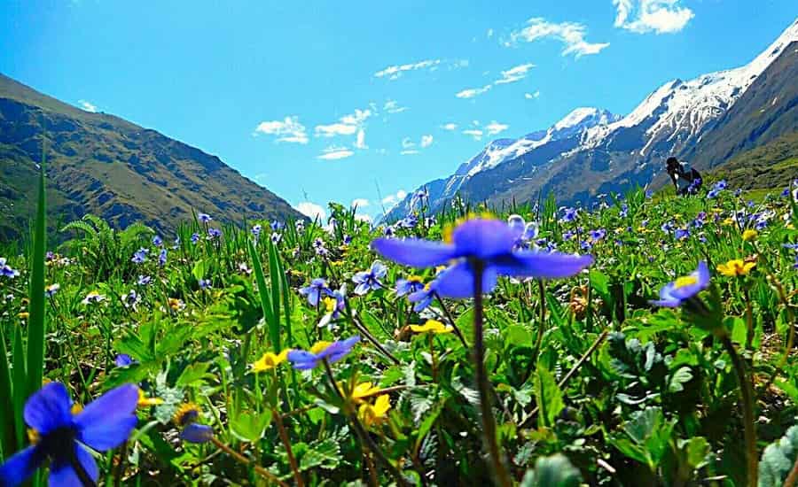 Bali Pass Trek