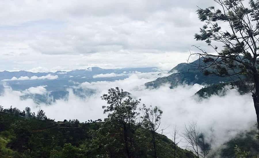 Doddabetta Peak, Ooty