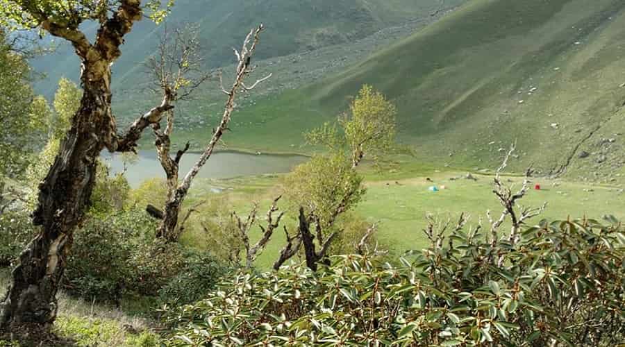 Ruinsara Tal Trek