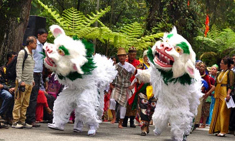 Yak Chham and Singhi Chham