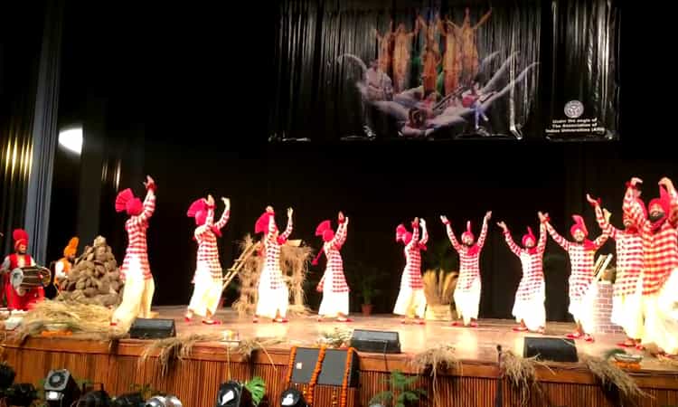 Traditional Folk Dance of Punjab