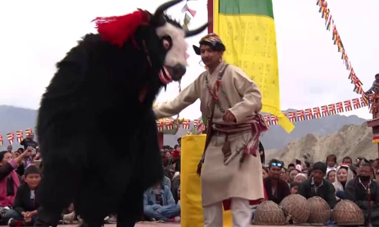 Yak Dance