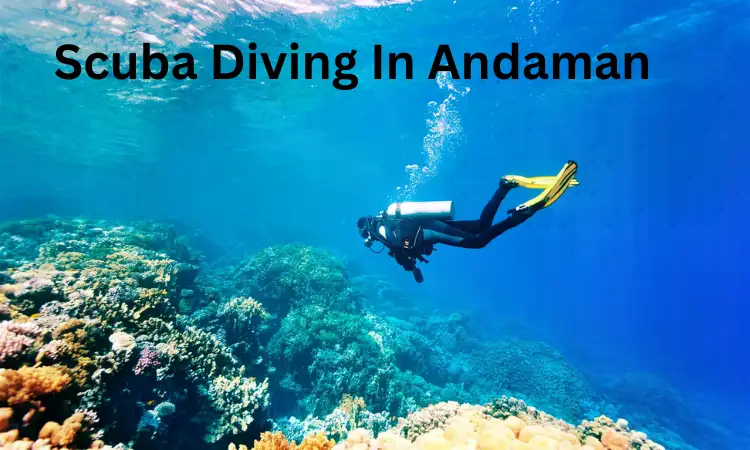 Ultimate Guide To Scuba Diving In Andaman | Know Everything
