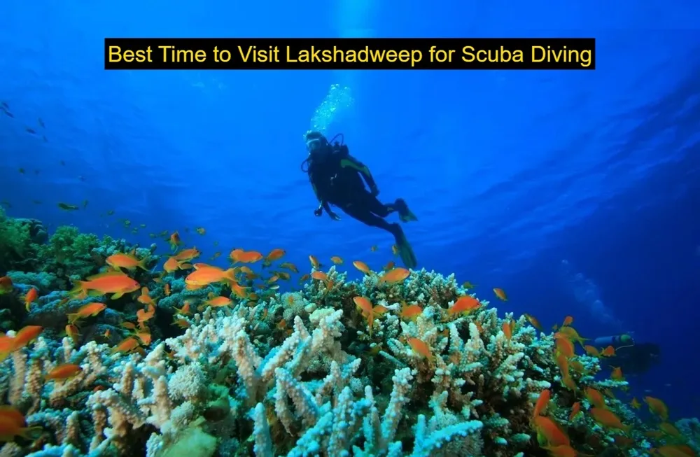 When to Visit Lakshadweep for the Best Scuba Diving Experience