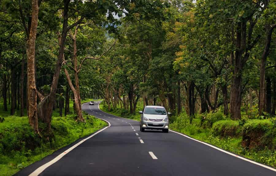Bangalore to Bandipur Forest